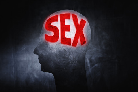 Hypersexual Disorders and the Brain